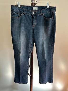 8 Circuits of Consciousness Women's Jeans Size 12 Stretch Medium Blue